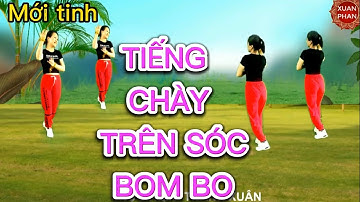 💐TIẾNG CHÀY TRÊN SÓC BOM BO🌼// HAI HƯỚNG (  MỚI TINH - SÔI ĐỘNG - RẤT ĐẸP).