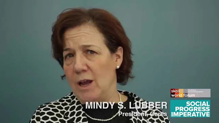 Mindy S  Lubber at Skoll World Forum discussing social progress
