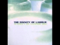 The Dignity Of Labour - Satellite