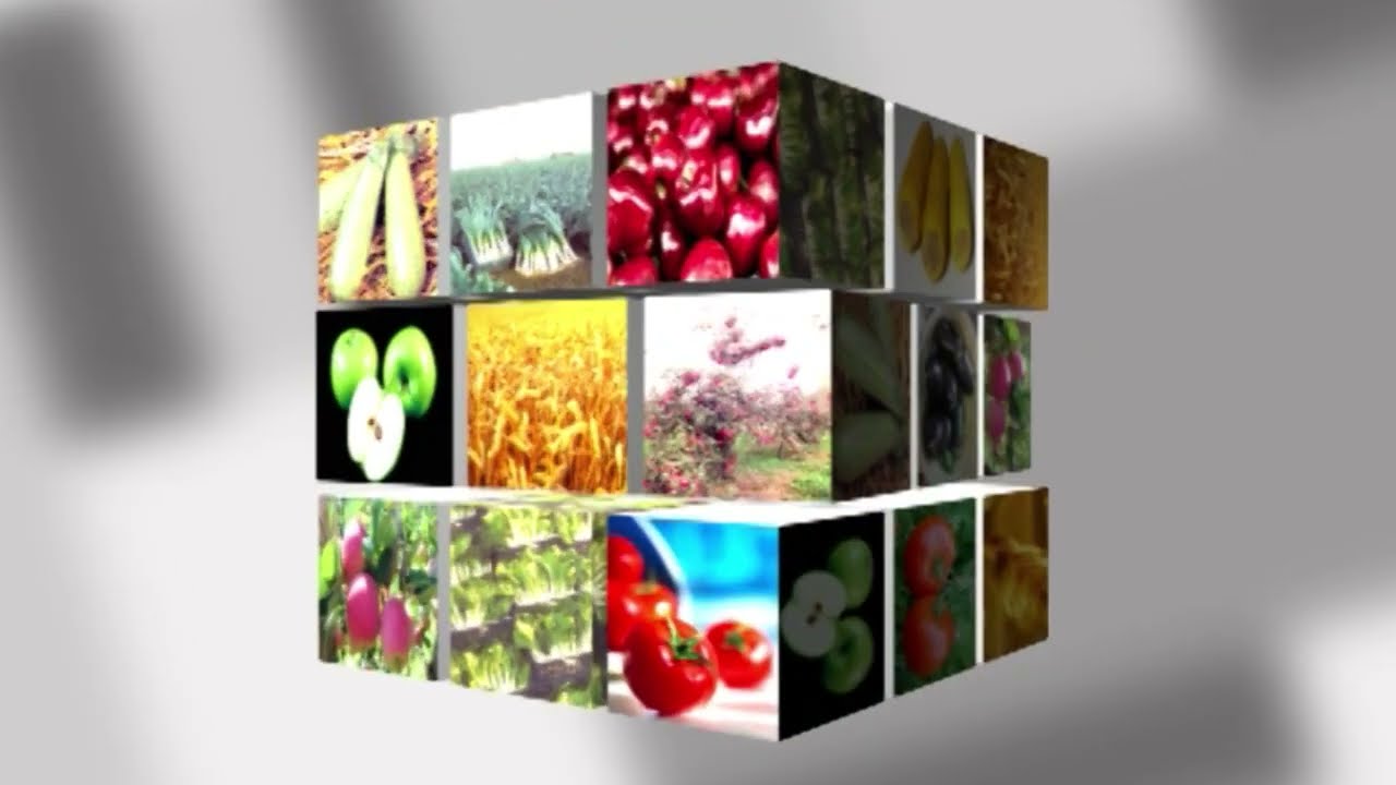 Voćarstvo zaštita breskve prskalice i tretmani   voćarski gubici 24 februar 2026