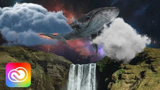 Transparent PNGs from Adobe Stock | Adobe Creative Cloud screenshot 2