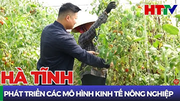 Hà Tĩnh TV