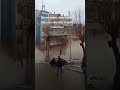 Tetemeko La Ardhi Uturuki Turkey Mdtvznz 