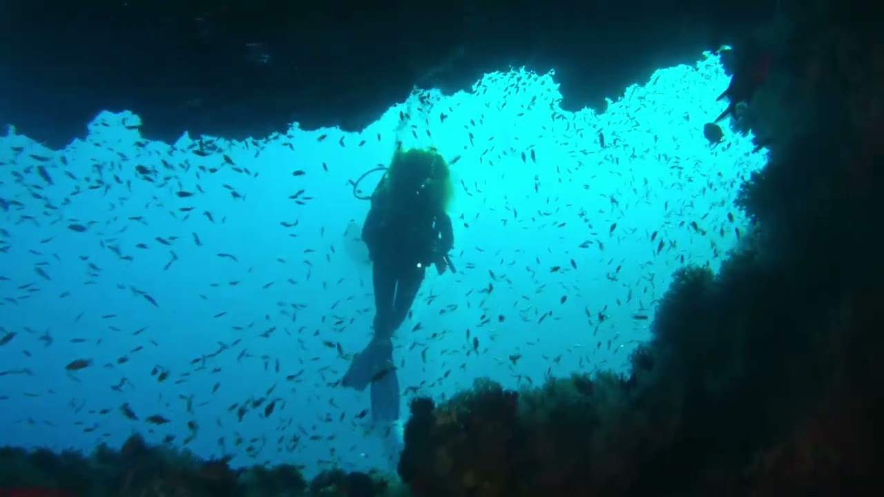 DJTurtle: Insomnia – Drowned in the Beat, Awake All Night