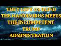 The 6.2% Hantavirus-The Simple Math They Are Hiding