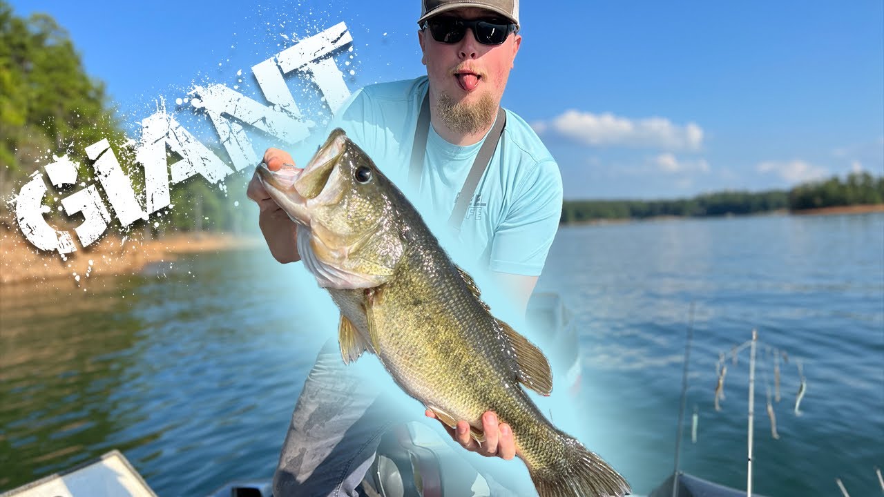 GIANT 8 POUND BASS ON TOPWATER! MY PB! YouTube