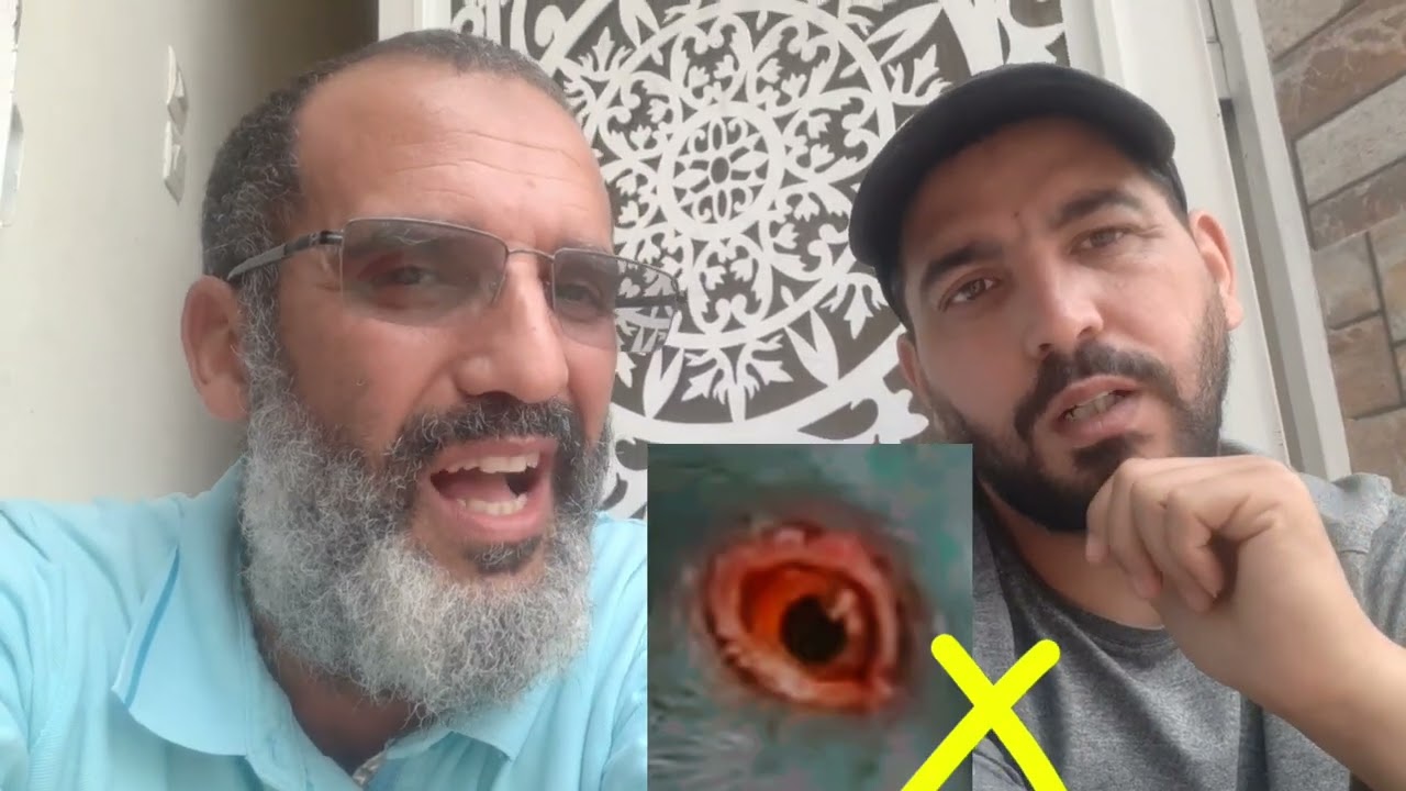 مواصفات السيفيانوس المغربي الحدبة والحوصلة والأرجل