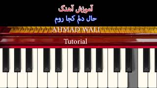 Afghan Keyboard Ahmad Wali Hale Delam Tutorial