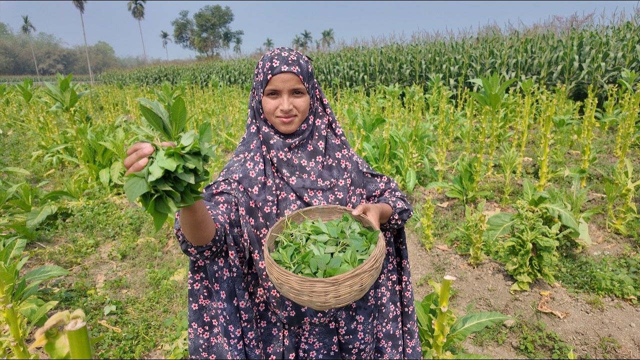 আপনারা কেউ কোন দিন এই জংলি শাকটা খেয়েছেন । juier songsar