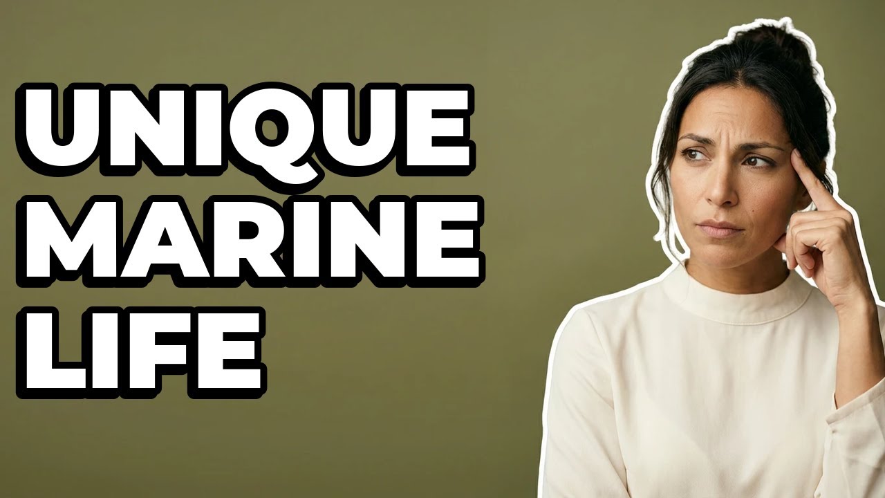 What Is Special About Fernandina's Marine Life?