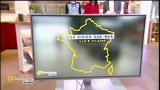Moules de bouchot du Mont-Saint-Michel: l'AOP de la baie