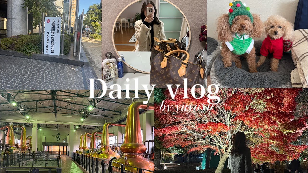 《vlog》社会人の8日間⌇コストコ⌇クリスマス会⌇紅葉⌇資格の受験日