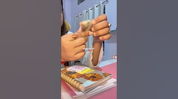 read pinned comment 💌#study #studyguide