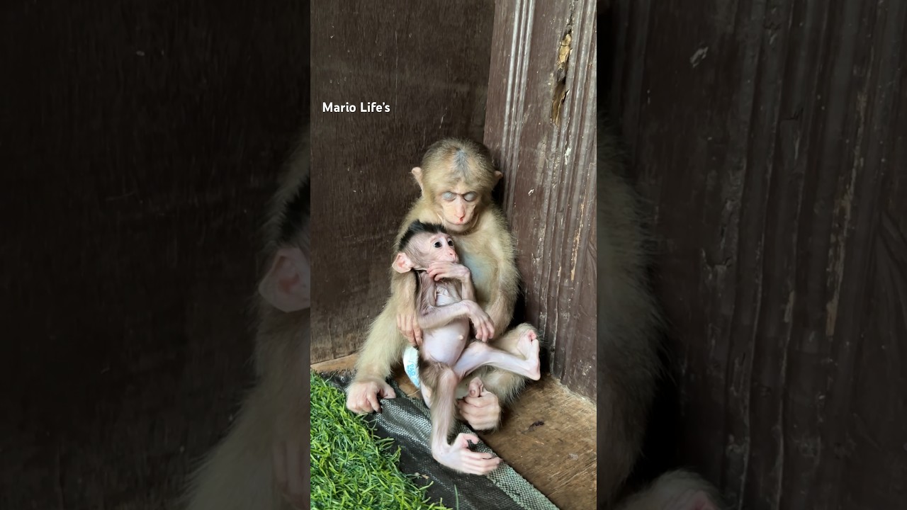 Big boy Leo say to Meta soon sleep baby 