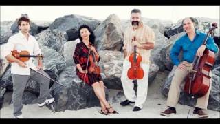 Delray String Quartet plays Smetana String Quartet no 1 in e minor "From my Life" (Movement 3)