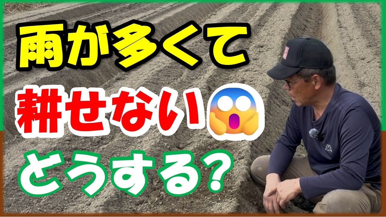 ❀そるまるす❀荒天・猛暑日は植物発送不可専用4種 Can't Till the Field Due to Autumn Rain? What to Do When