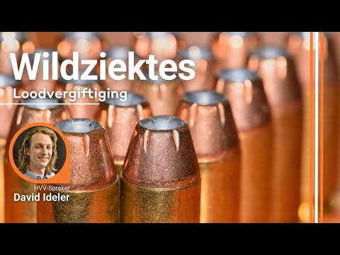 HVV-webinar wildziektes: loodvergiftiging