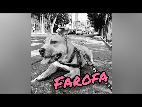 FAROFA - COMPILADO STORIES - Júnior Chicó