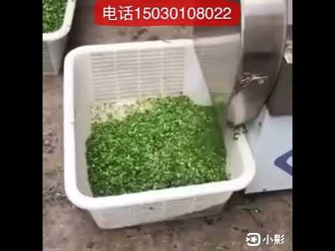 Cooler Depot Electric Commercial Vegetables onion cutting machine