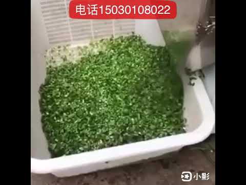 Commercial Cutting Machine Large Capacity Electric Vegetable Grinder Mincer Food Slicer Herb Chopper