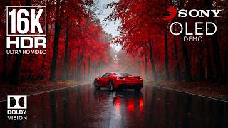 Most Breathtaking 16K Video ULTRA HD | Dolby Vision 120fps OLED DEMO (8K/4K TV Test)