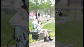 猫 / DISH// #basscover #猫 #DISH// #ベース #弾いてみた #ベーシスト #ベース女子  #野外撮影