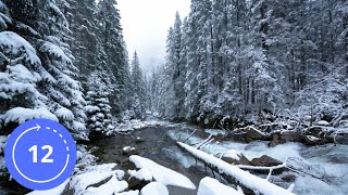 12 Hours / Sounds / MOUNTAIN STREAM IN WINTER / Sounds of Nature / White Noise / Sleeping Sounds