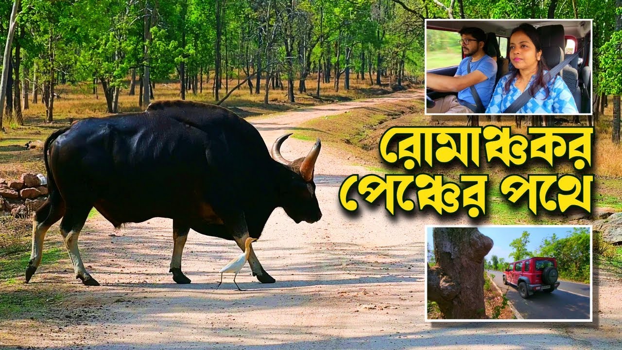 Pench Tiger Reserve Road Trip ↑ গাড়িতে কলকাতা থেকে পেঞ্চ ↑ Pench Tour
