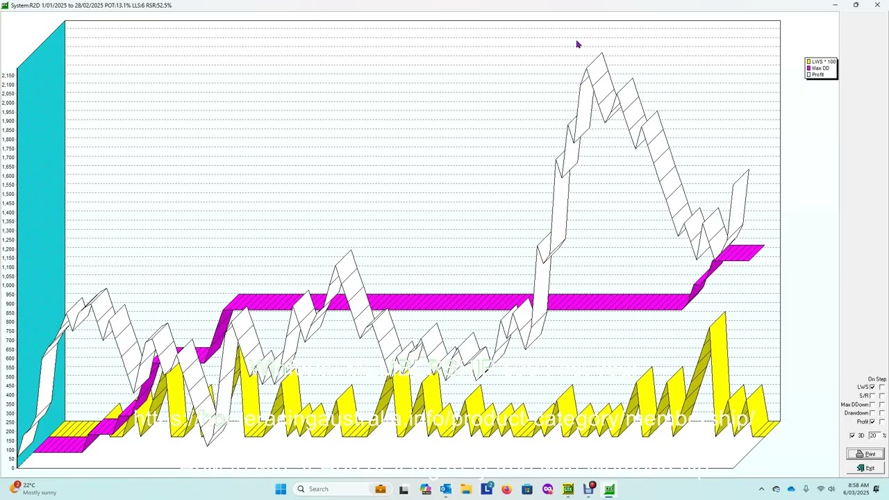 Professional Plan for Punters
