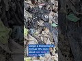 5 Dangers of Improperly Disposing of Your Old Electronics That Can Ruin Your Life