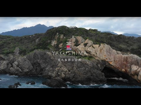 Wideo: Park Narodowy Yakushima: Kompletny przewodnik