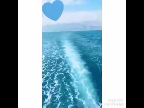 عايم في بحر الغدر 