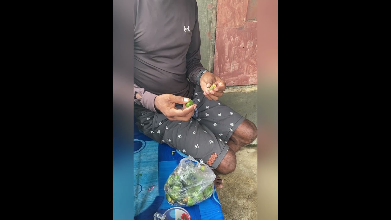 Traditional betel nut plant chewing New Guinea