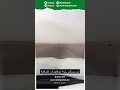 من يسكن رنيه السعودية