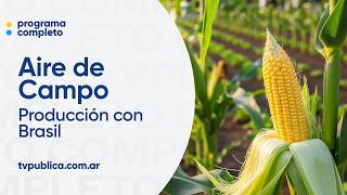 Diferencias y semejanzas productivas con Brasil - Aire de Campo