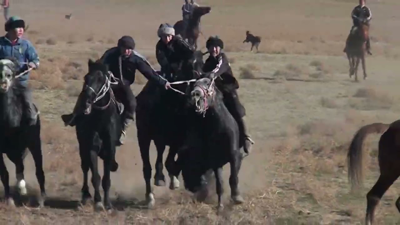 28 11 2022 Бағыс ауылы Бегзат ағаның елден бата алу көкпары