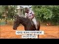 Horse riding in Srilanka