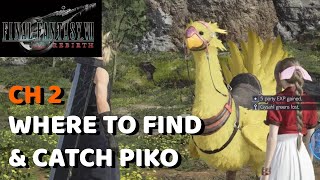 Where To Find & Catch Piko - Grasslands Chocobo | Final Fantasy 7 Rebirth
