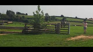 230808_Xc training at Oxstalls with K Williams. videos 5+(1)