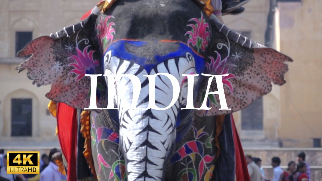 Wildlife Of India In 4K HDR (ULTRA HD) | Dolby Sound