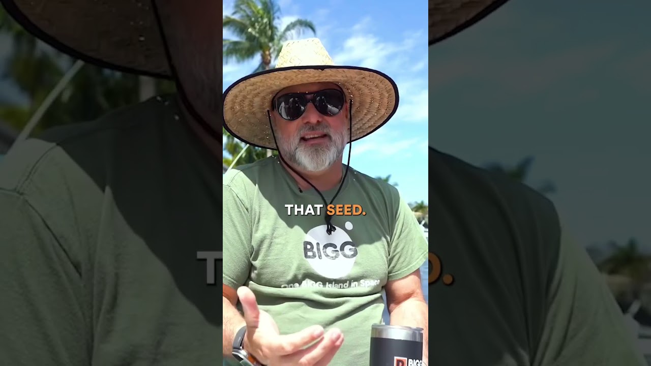 The Role of Visionary 