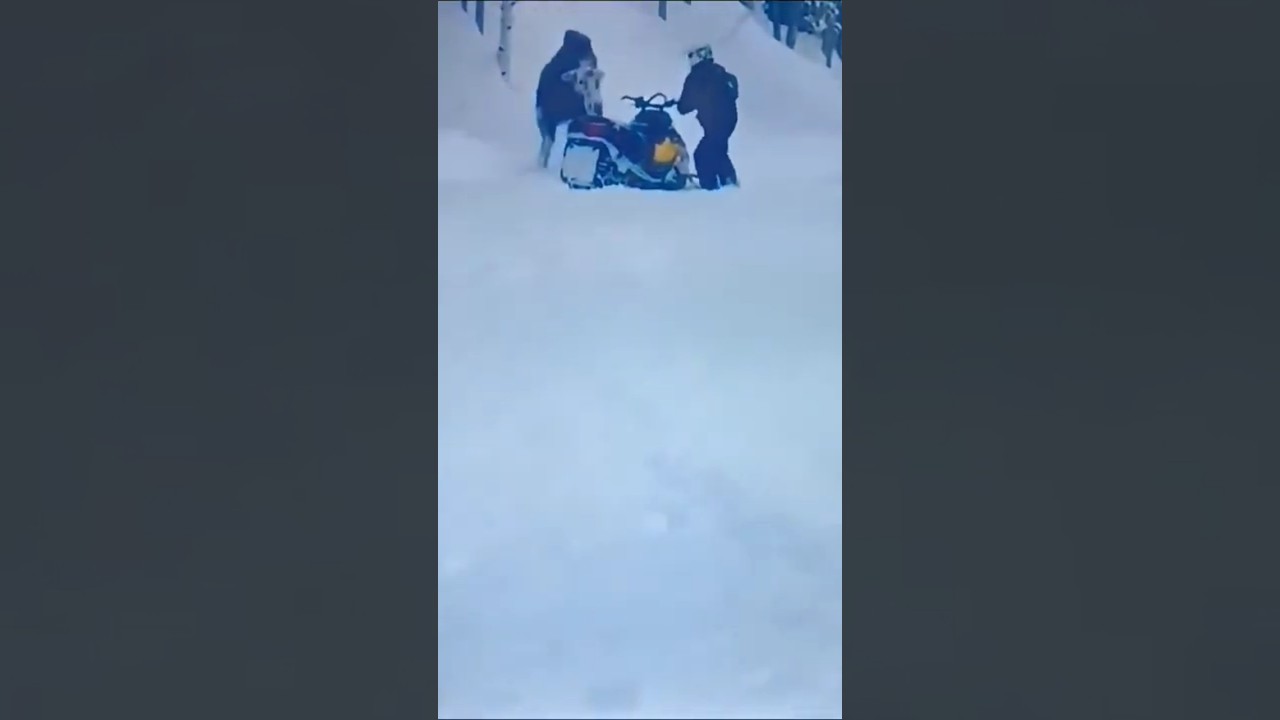 Angry Moose VS Snowmobile 