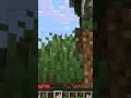what is this? #fyp #minecraft #horror #poppyplaytime