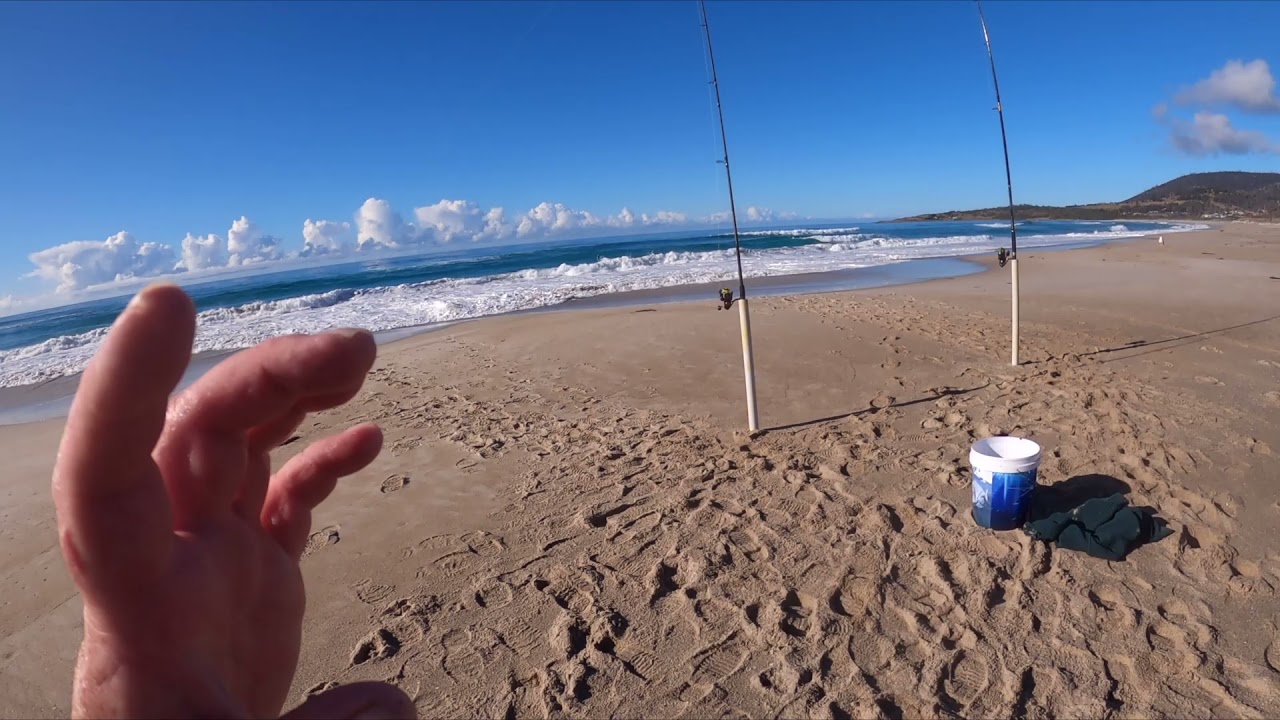 Beach fishing tips some nice fish caught. YouTube