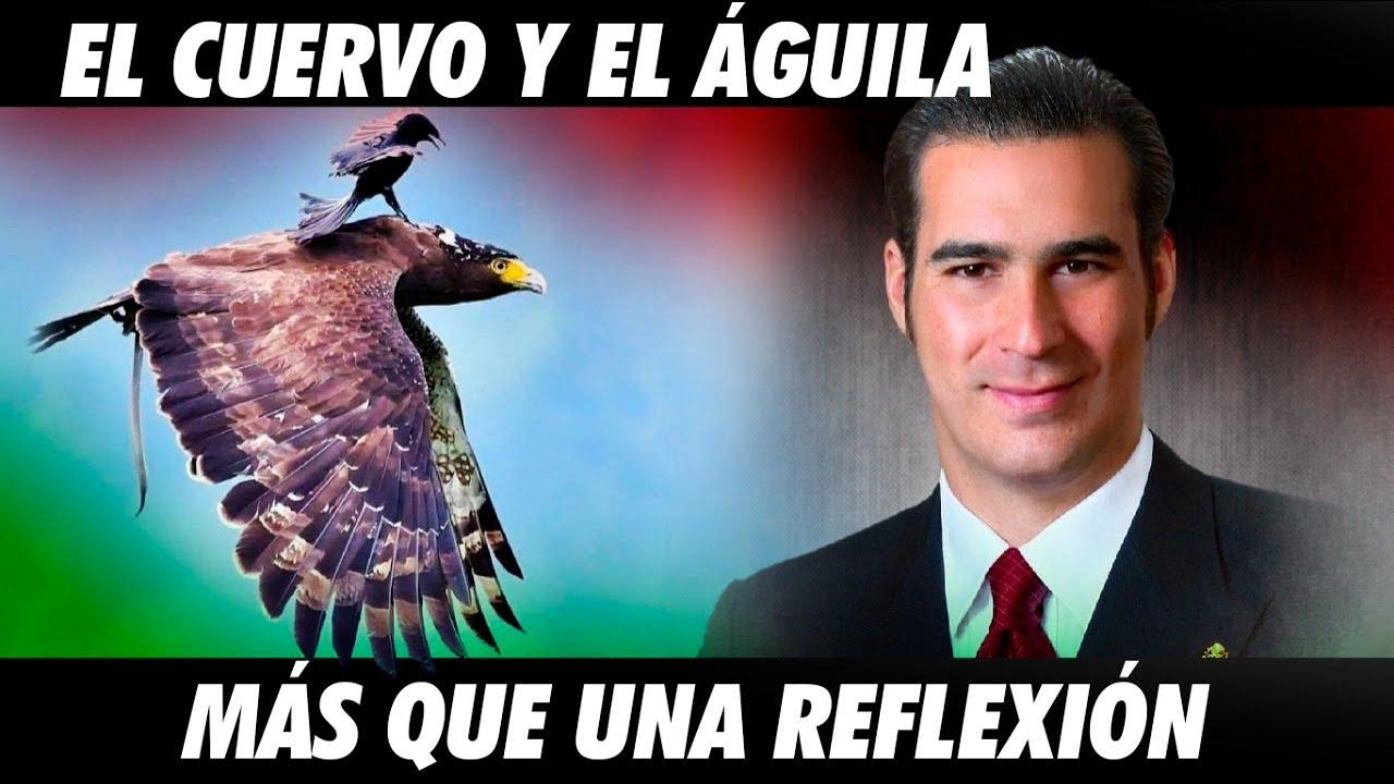 El Aguila y el Cuervo Reflexión - YouTube