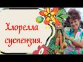 Хлорелла, суспензия.