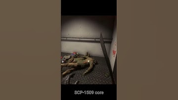 The new scp is all fun and games until it