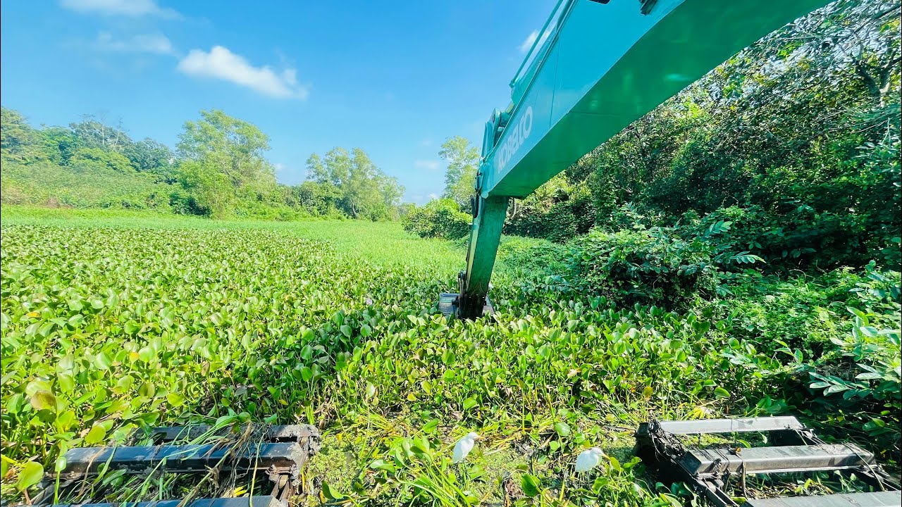 Removing Thick Floating Weeds with an Amphibious Excavator – Extreme River Cleaning Operation”
