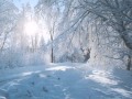 Асхат и Иса Айдемировы -- Зима