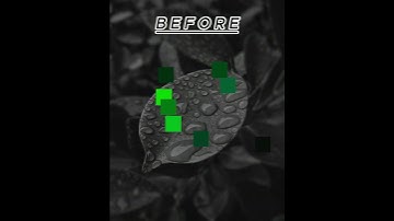Lightroom color grading before and after | Adobe Lightroom #lightroom #colorgrading #beforeandafter
